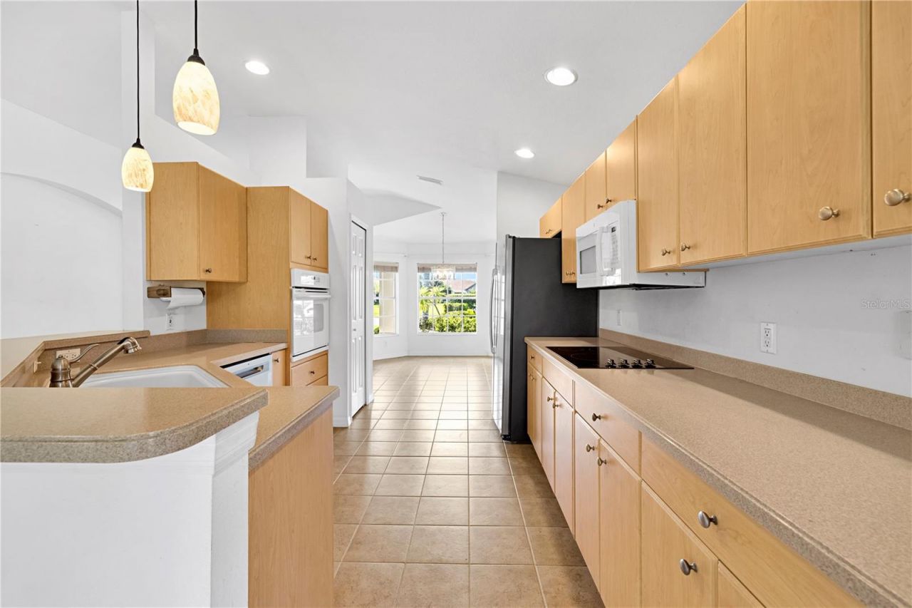 1741 Arbor Knoll Loop , Trinity, FL 34655 Photo
