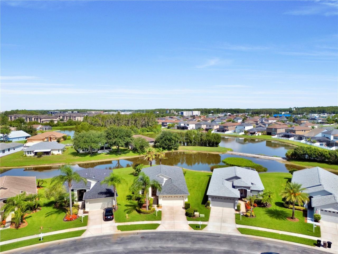 1741 Arbor Knoll Loop , Trinity, FL 34655 Photo