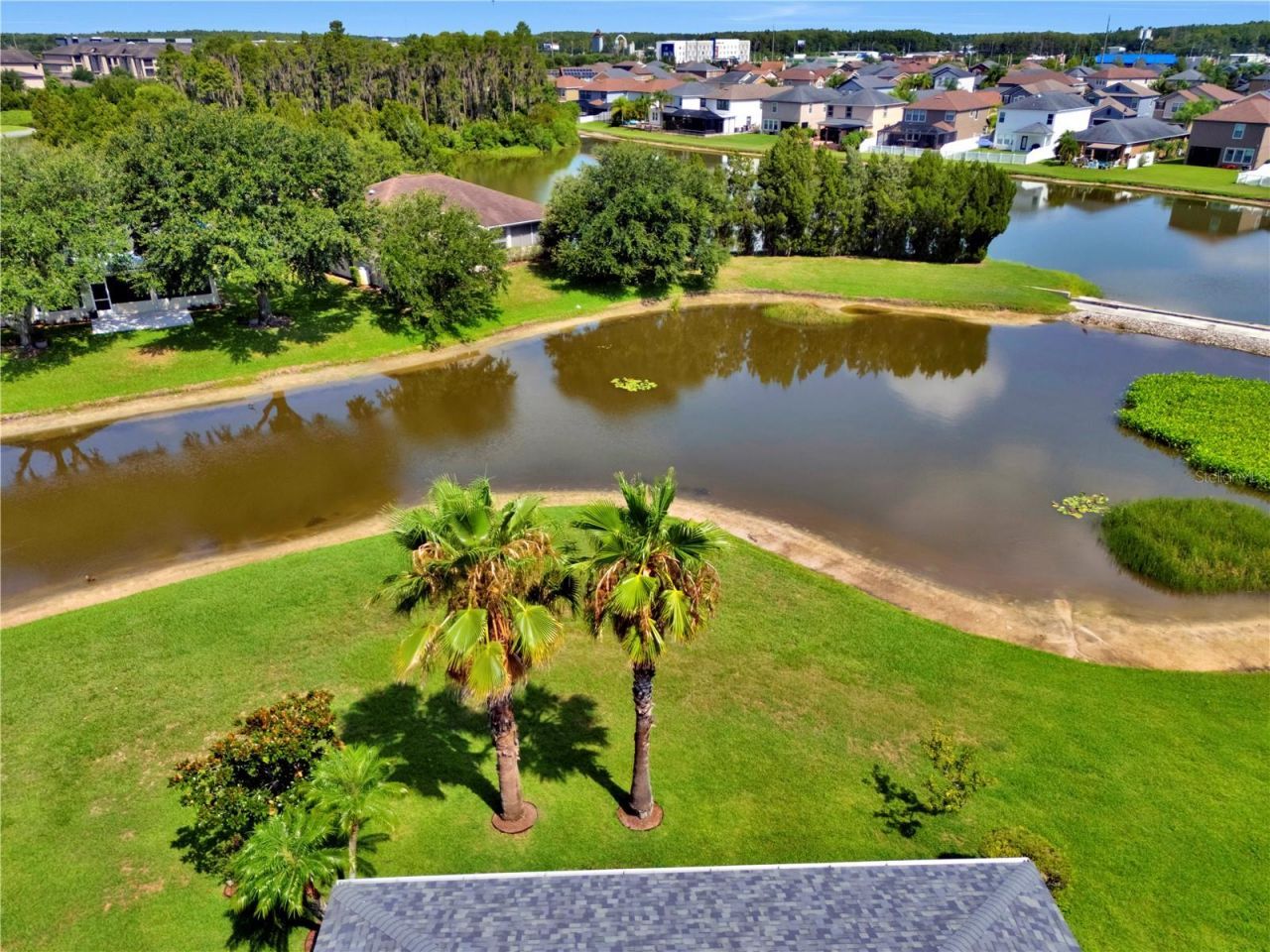 1741 Arbor Knoll Loop , Trinity, FL 34655 Photo