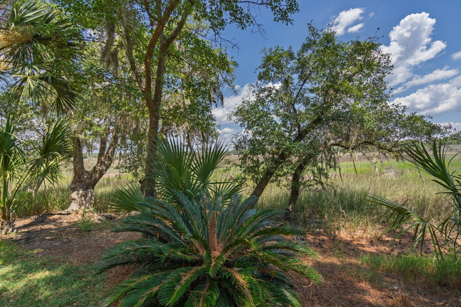 8840 Marsh Aire Lane Photo 43