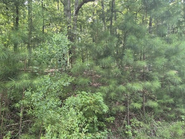 441 S Steel Bridge Road, Eatonton, GA 31024