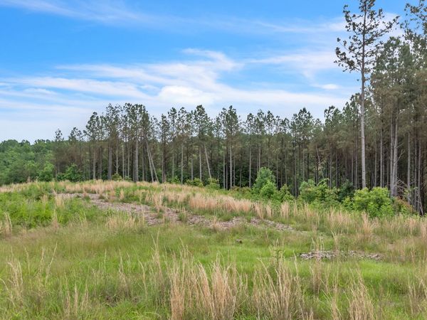 178 Sagebrush Way, Unit 36, Dover, TN 37058