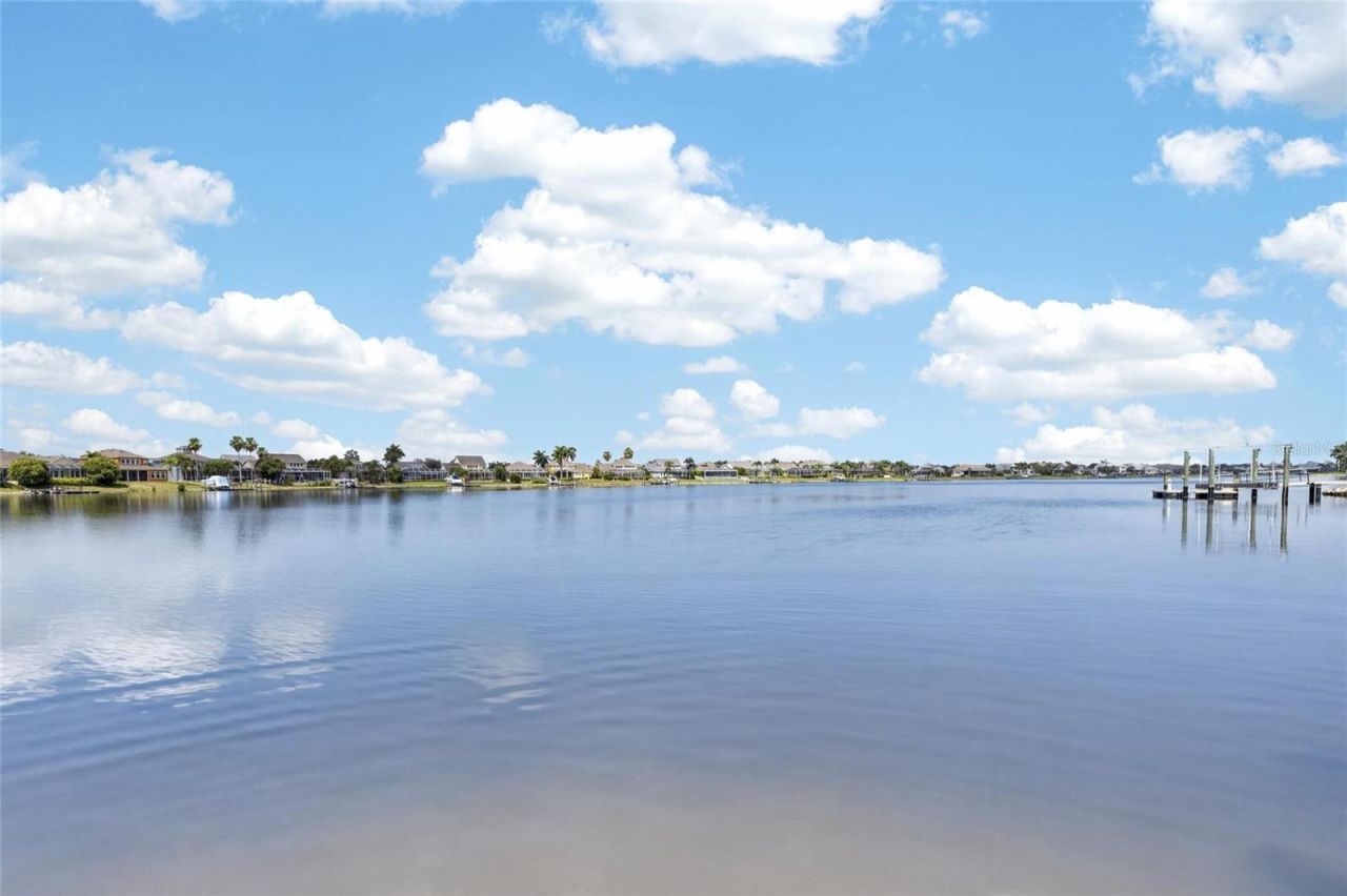 5216 Point Harbor Lane, Apollo Beach, FL 33572 Photo