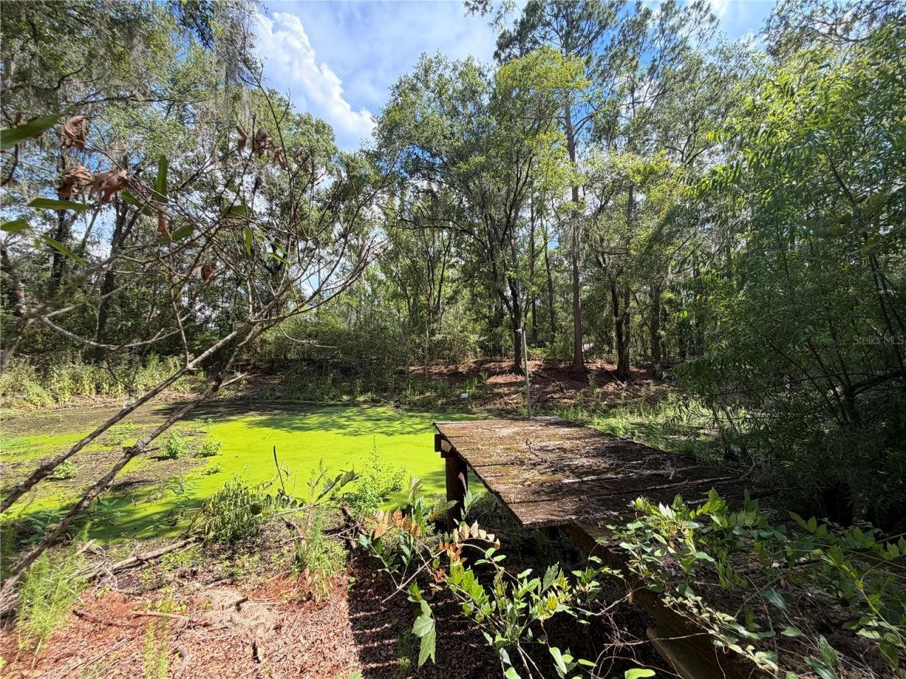 24042 90, Olustee, FL 32072 Photo