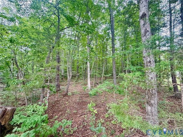 Lot 1 Forest Chapel Rd, Pamplin, VA 23958