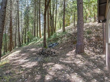 4599 Rivendale Rd, Placerville, CA 95709 Photo