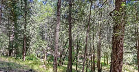 4599 Rivendale Rd, Placerville, CA 95709 Photo