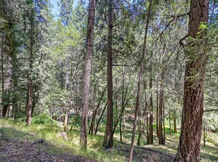 4599 Rivendale Rd, Placerville, CA 95709 Photo