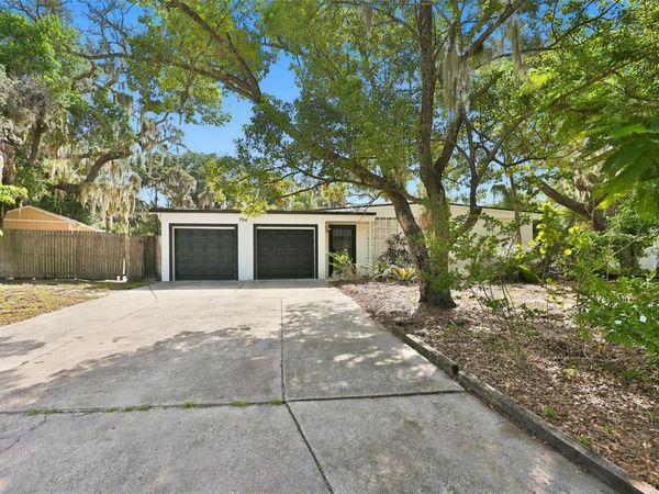 704 E RIVER DRIVE , TAMPA, FL 33617