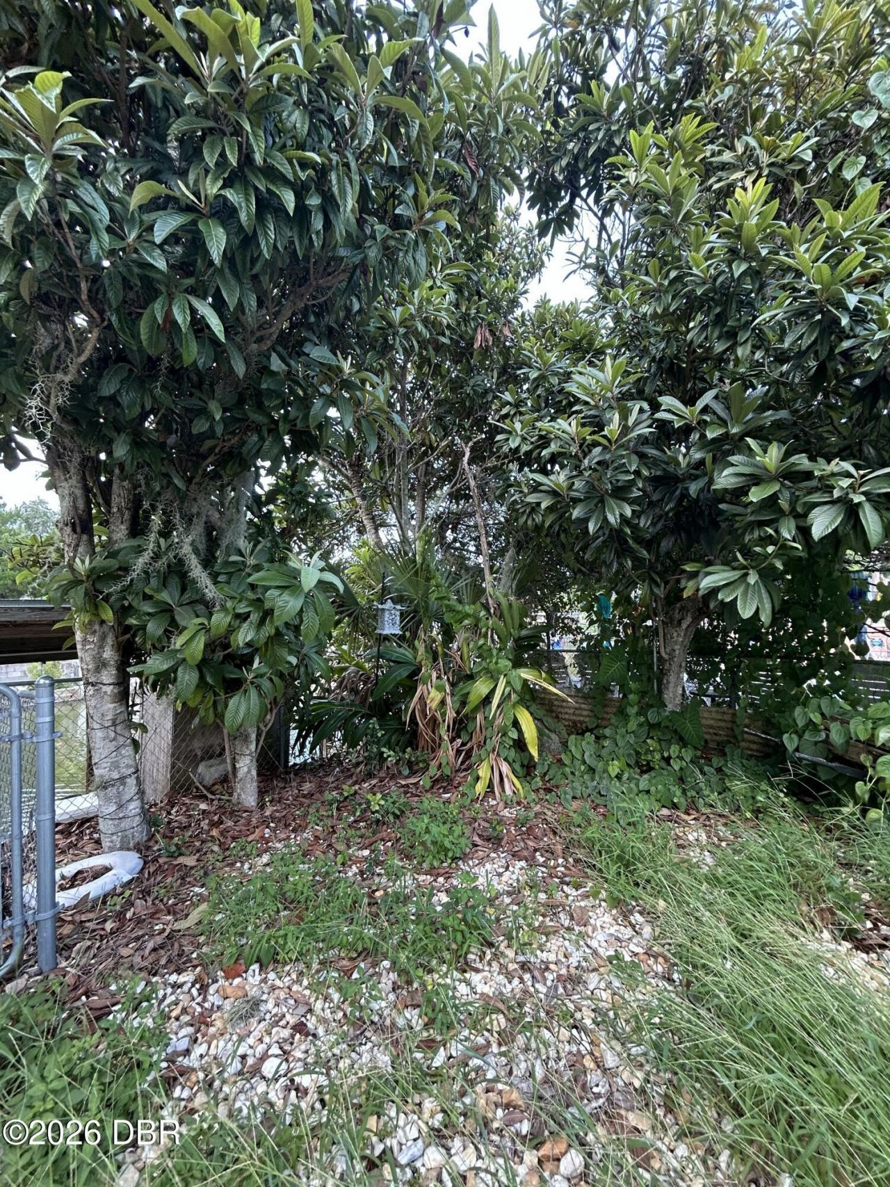 165 Lewis Street, Edgewater, FL 32141 Photo
