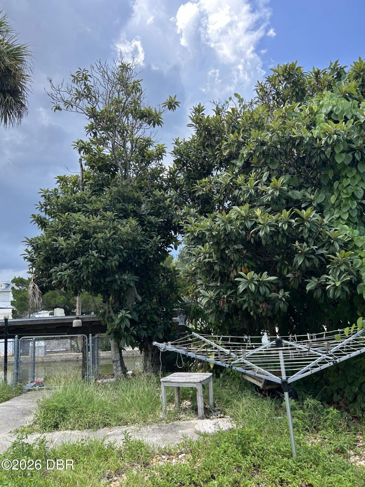 165 Lewis Street, Edgewater, FL 32141 Photo