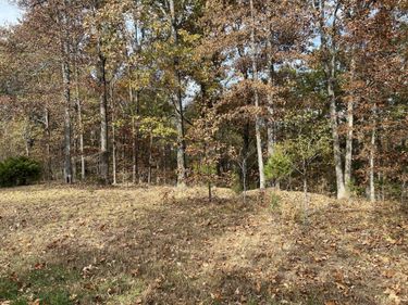 Lot 24 Haynes Cemetery Road, Murray, KY 42071