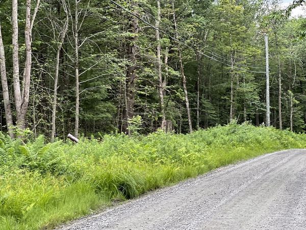 Lot 19 Becket Rd, Middlefield, MA 01243