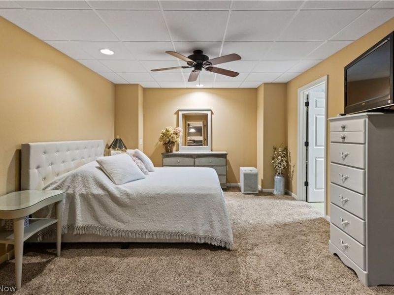 255 Cara Place, Wintersville, OH 43953 Photo 40