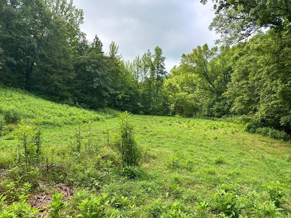 0 Dickens Rd , Buffalo Valley, TN 38548