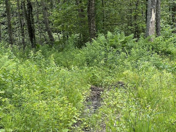 Lot 21 Becket Rd, Middlefield, MA 01243