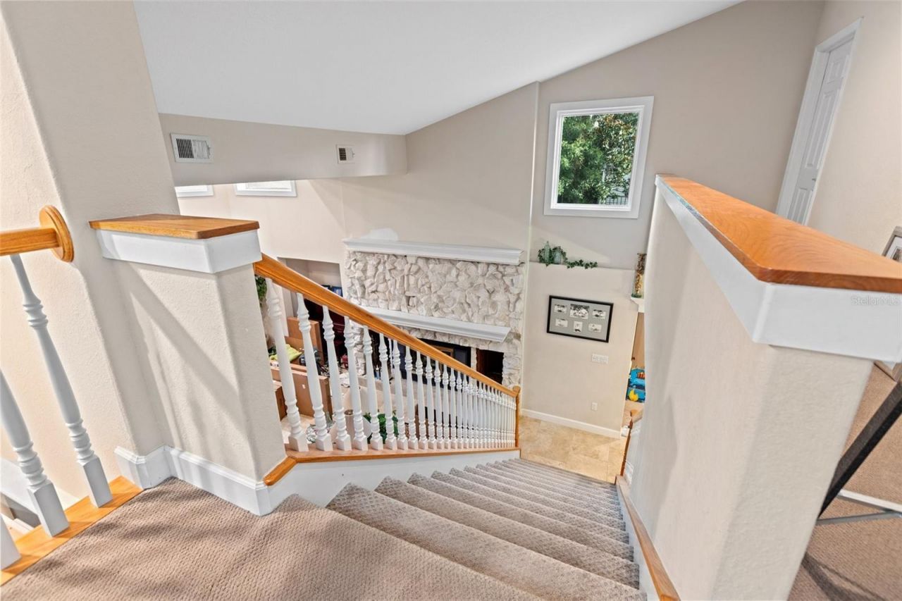 967 Pine Hill Road, Palm Harbor, FL 34683 Photo