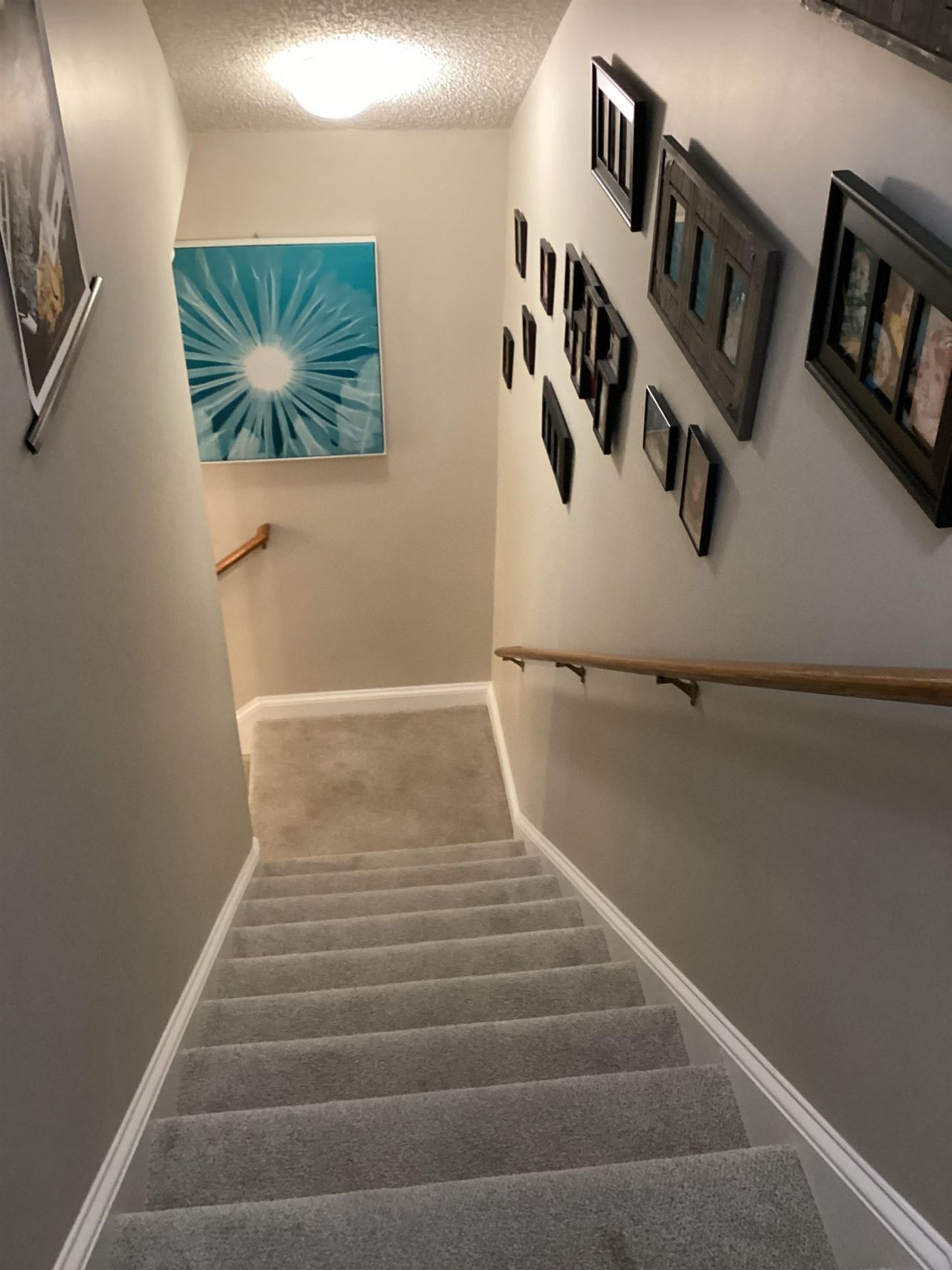 217 Camden Circle Photo 22