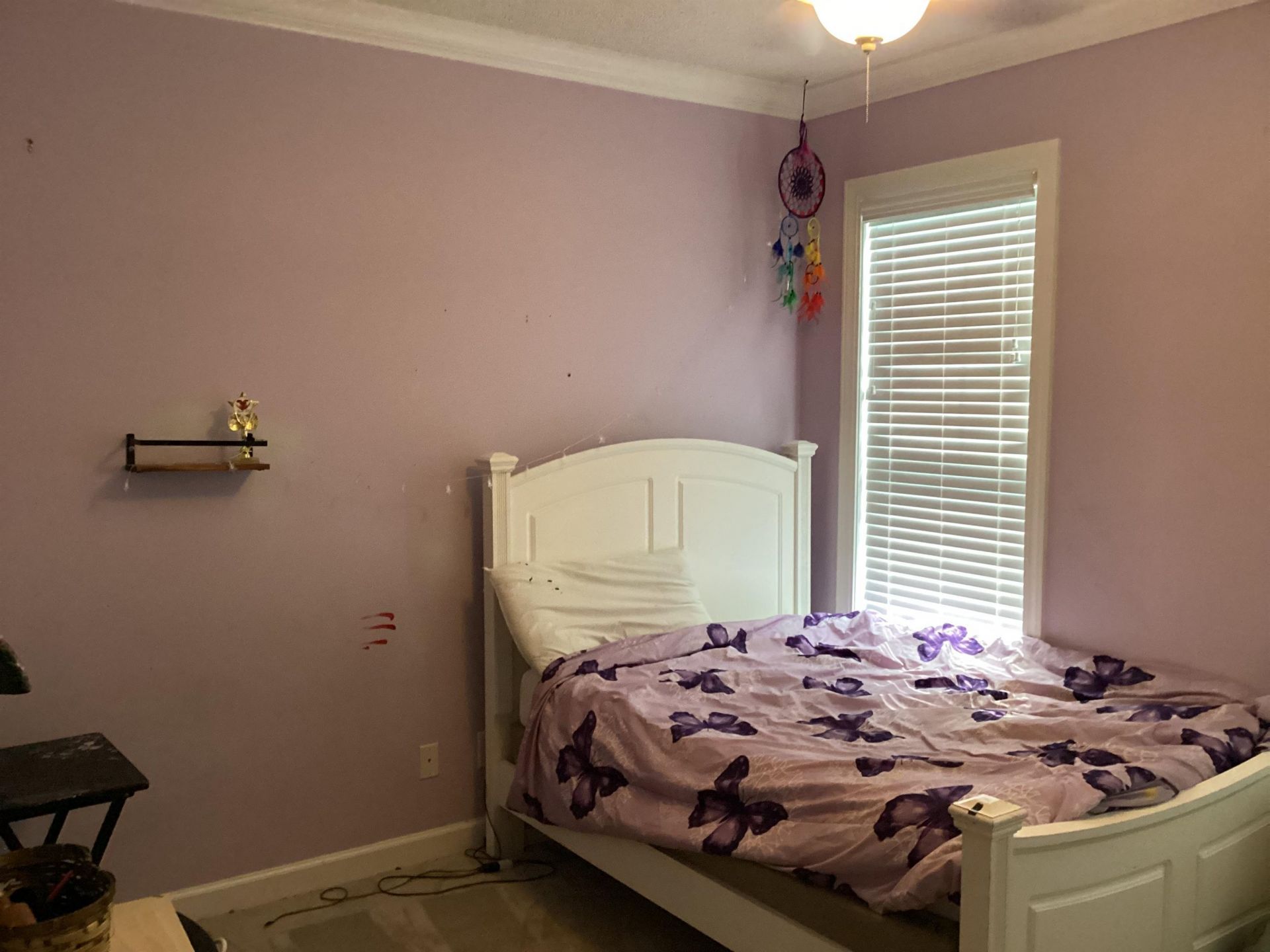 217 Camden Circle Photo 29