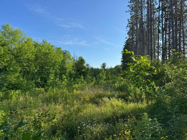 TBD-2 N Riverside Road , Moose Lake, MN 55767