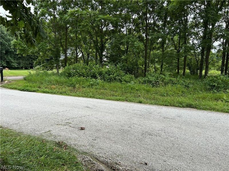Riverdale Street SW, Bolivar, OH 44612 Photo 2