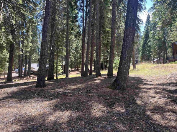 1160 Lake Ridge Road, Lake Almanor, CA 00000