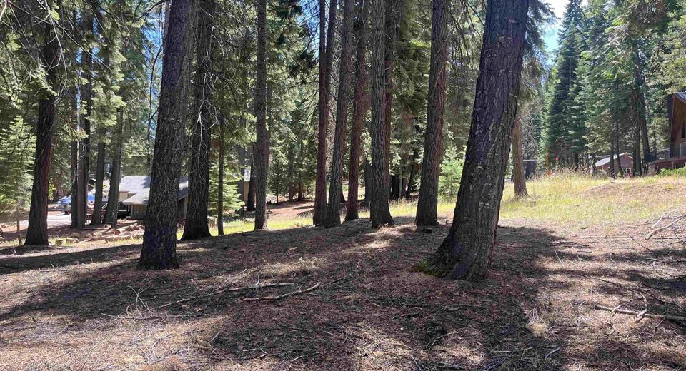 1160 Lake Ridge Road, Lake Almanor, CA 00000 Photo