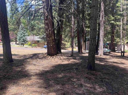 1160 Lake Ridge Road, Lake Almanor, CA 00000 Photo