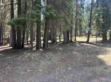 1160 Lake Ridge Road, Lake Almanor, CA 00000 Photo
