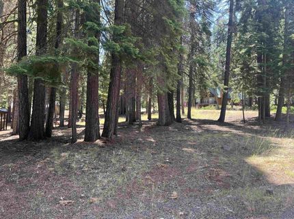 1160 Lake Ridge Road, Lake Almanor, CA 00000 Photo
