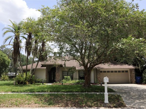 10428 TARA DRIVE , RIVERVIEW, FL 33578