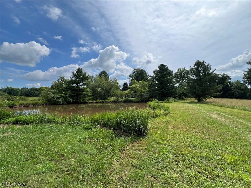 3527 Footville Richmond Road, Rock Creek, OH 44084 Photo 10