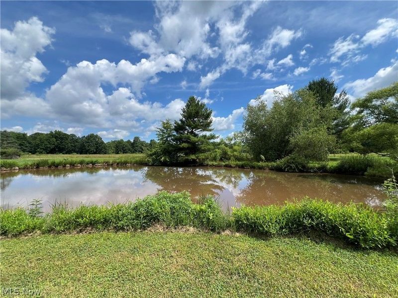 3527 Footville Richmond Road, Rock Creek, OH 44084 Photo 8