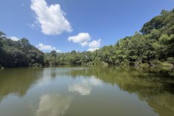 3242 Cape Road photo 4