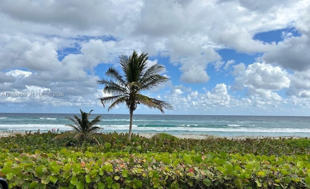 5401 NW 2nd Ave , Unit 222, Boca Raton, FL 33487 Photo
