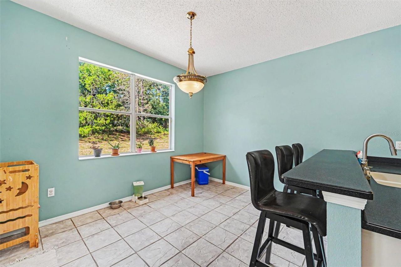 10724 Patrick Ave, Hudson, FL 34669 Photo