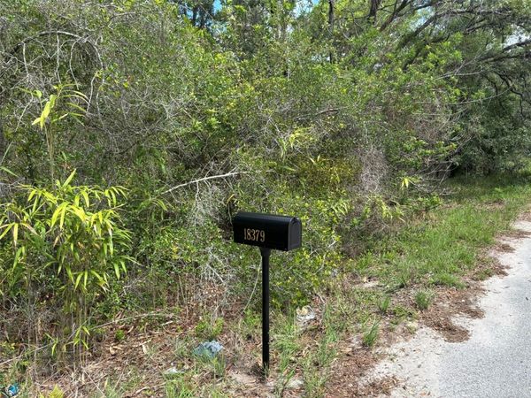 18379 THOMAS BOULEVARD , HUDSON, FL 34667