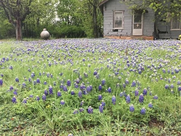 1054 CR 3415 , Clifton, TX 76634