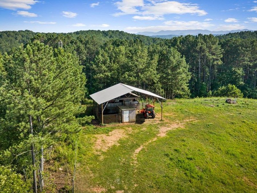 Property Image 63