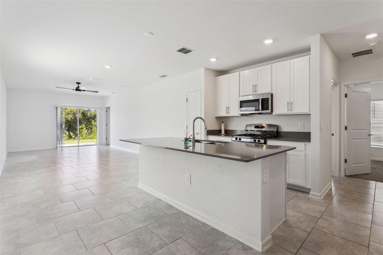26180 Feathergrass Circle , Leesburg, FL 34748 Photo