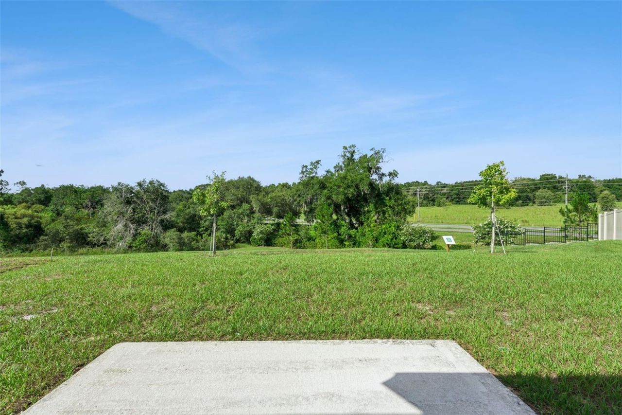 26180 Feathergrass Circle , Leesburg, FL 34748 Photo