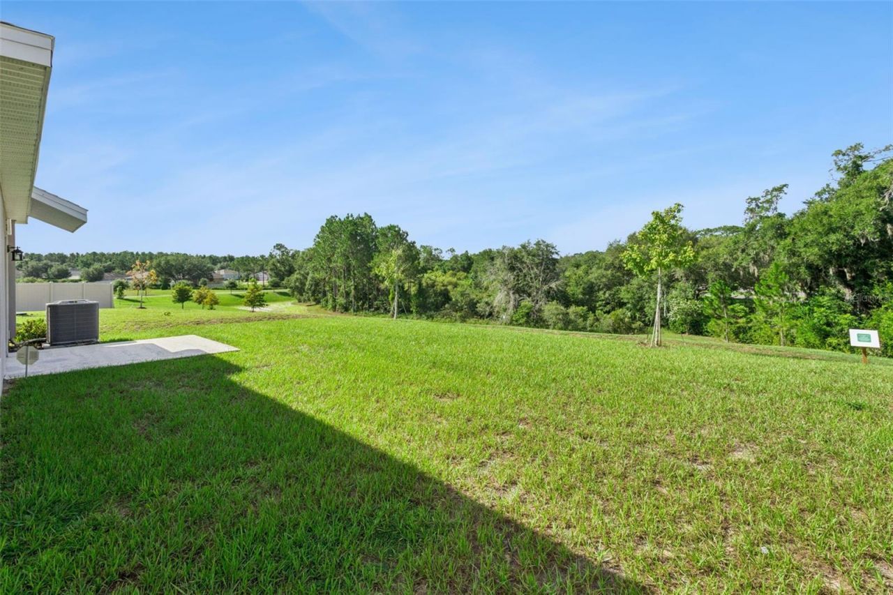 26180 Feathergrass Circle , Leesburg, FL 34748 Photo