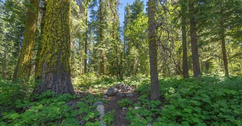 14801 Mt Judah Drive , Truckee, CA 96161 Photo
