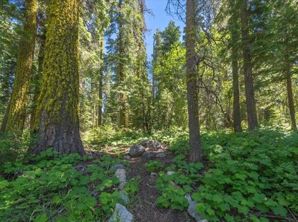 14801 Mt Judah Drive , Truckee, CA 96161 Photo