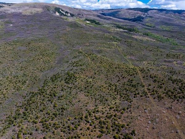 Parcel 3 W Elk View Drive, Cedaredge, CO 81413