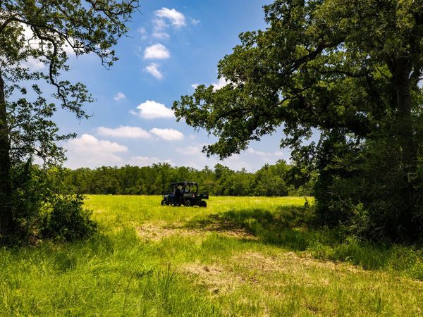 275 FM 1104, Kingsbury, TX 78638