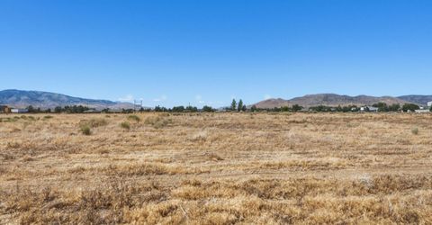 2559 Wildhorse Drive, Minden, NV 89423 Photo
