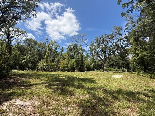 305 NE 298th Ave, Old Town, FL 32680