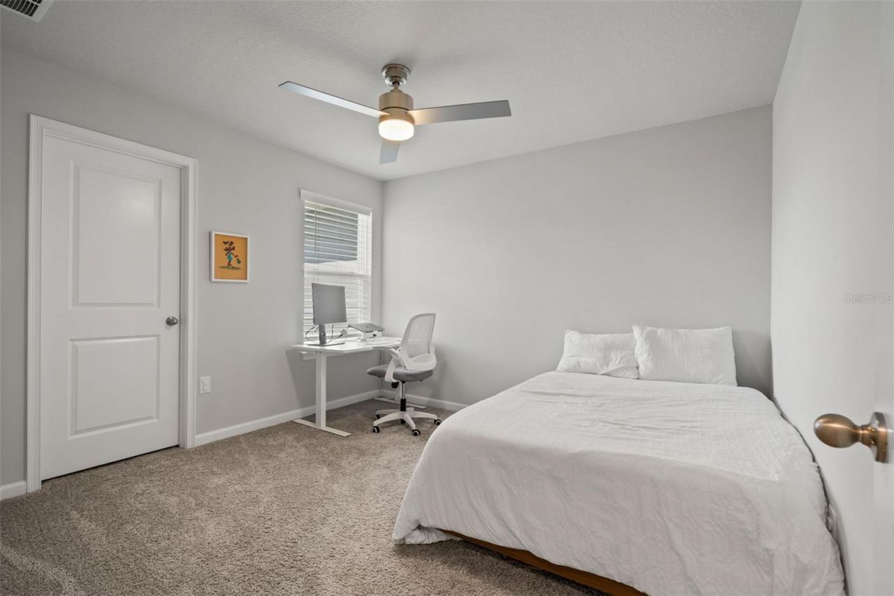26069 Woven Wicker Bend, Lutz, FL 33559 Photo