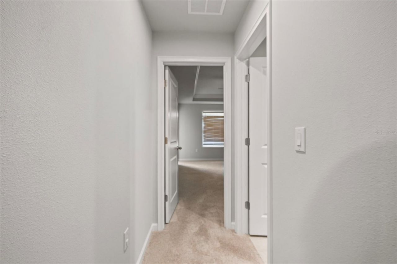 26069 Woven Wicker Bend, Lutz, FL 33559 Photo